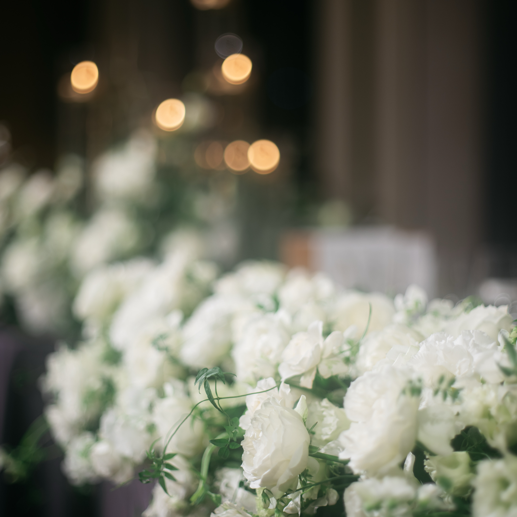 mimosa_wedding1103_ambさんのカバー画像
