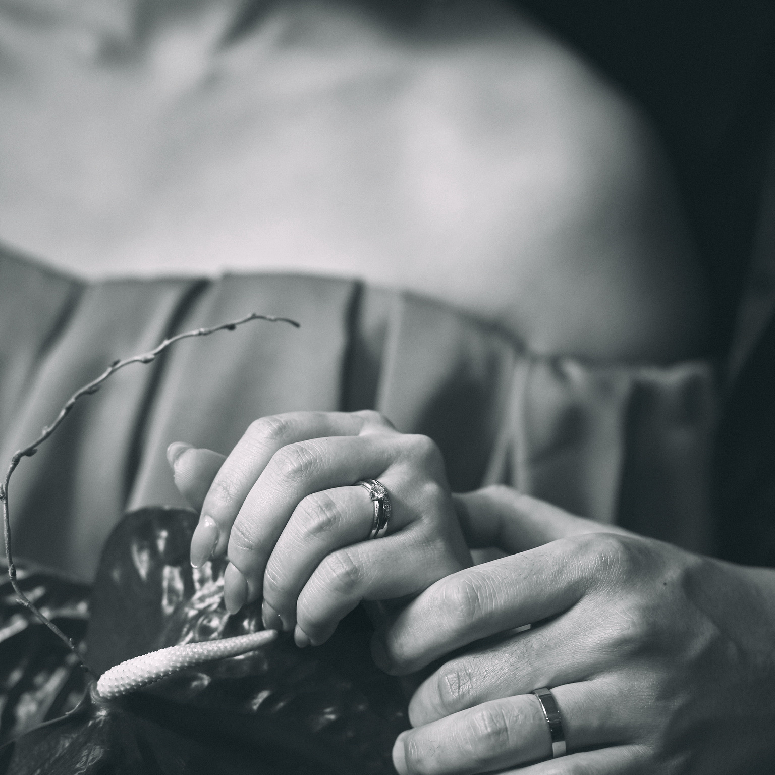 MAMIさんのカバー画像