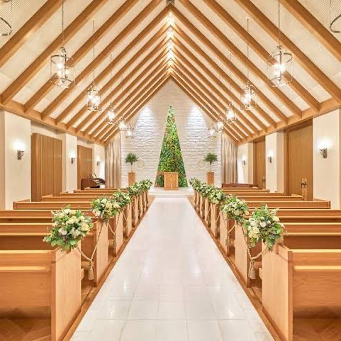 しぇいなさんのカバー画像