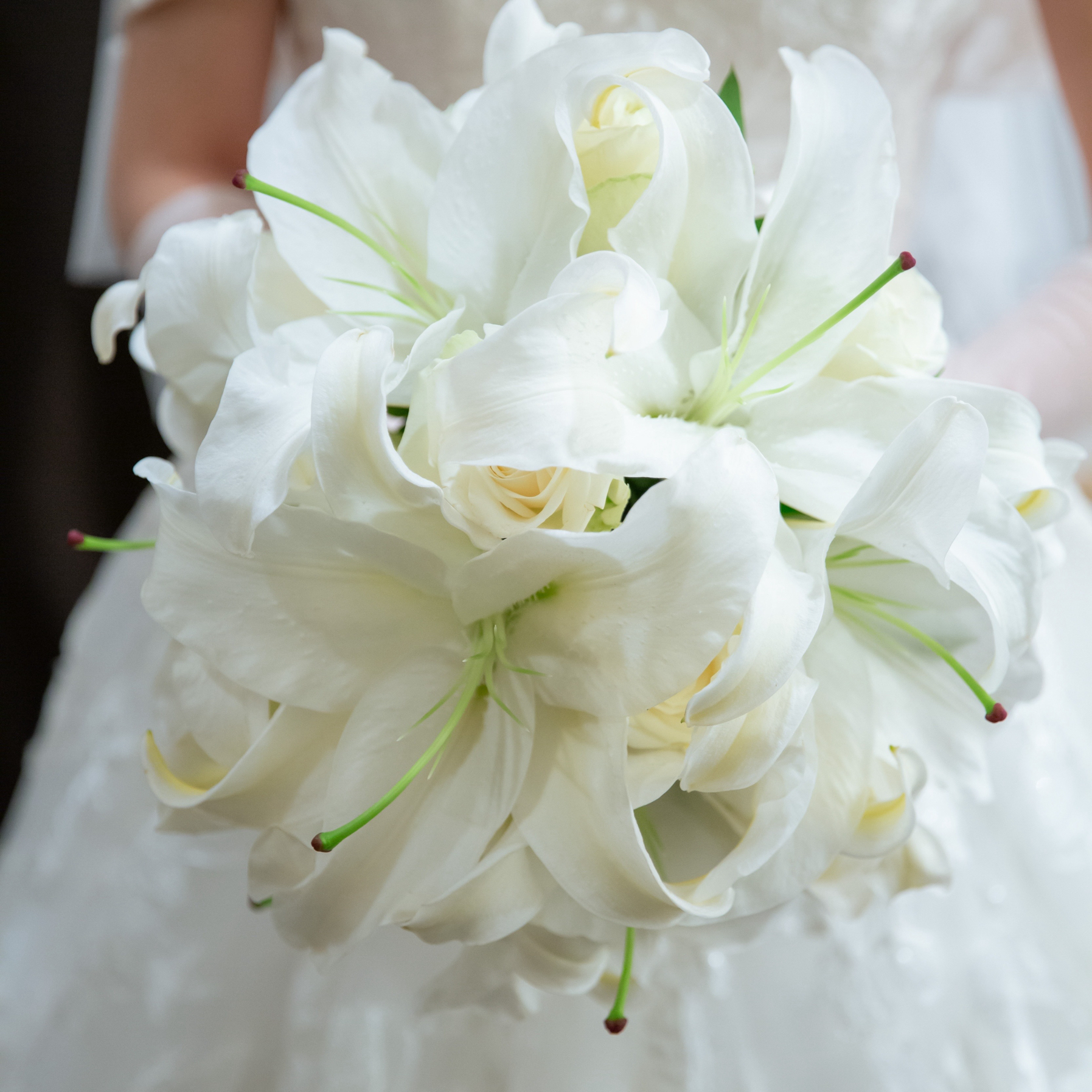 mayuさんのカバー画像