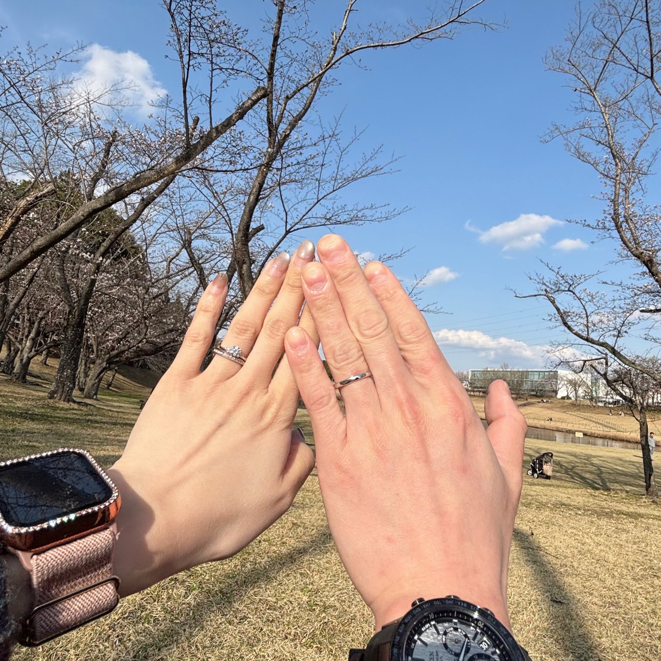 ao_prehanayome_ambさんのカバー画像