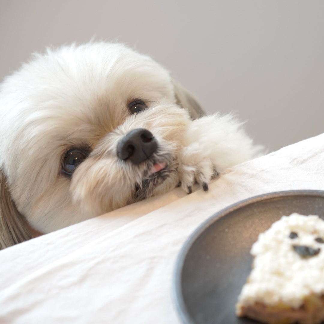 しずしろさんのカバー画像