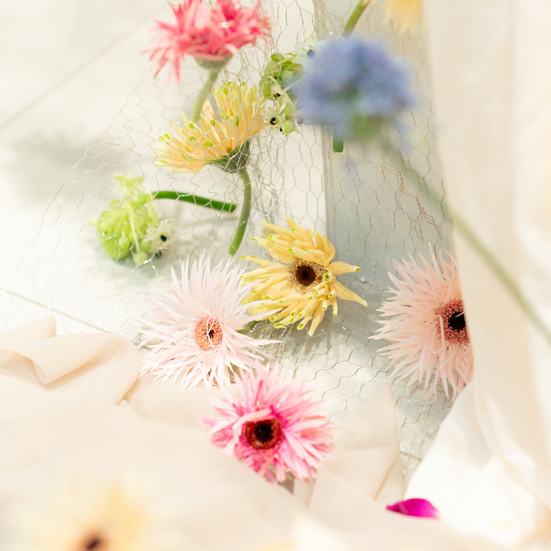 mu_yu_627さんのカバー画像