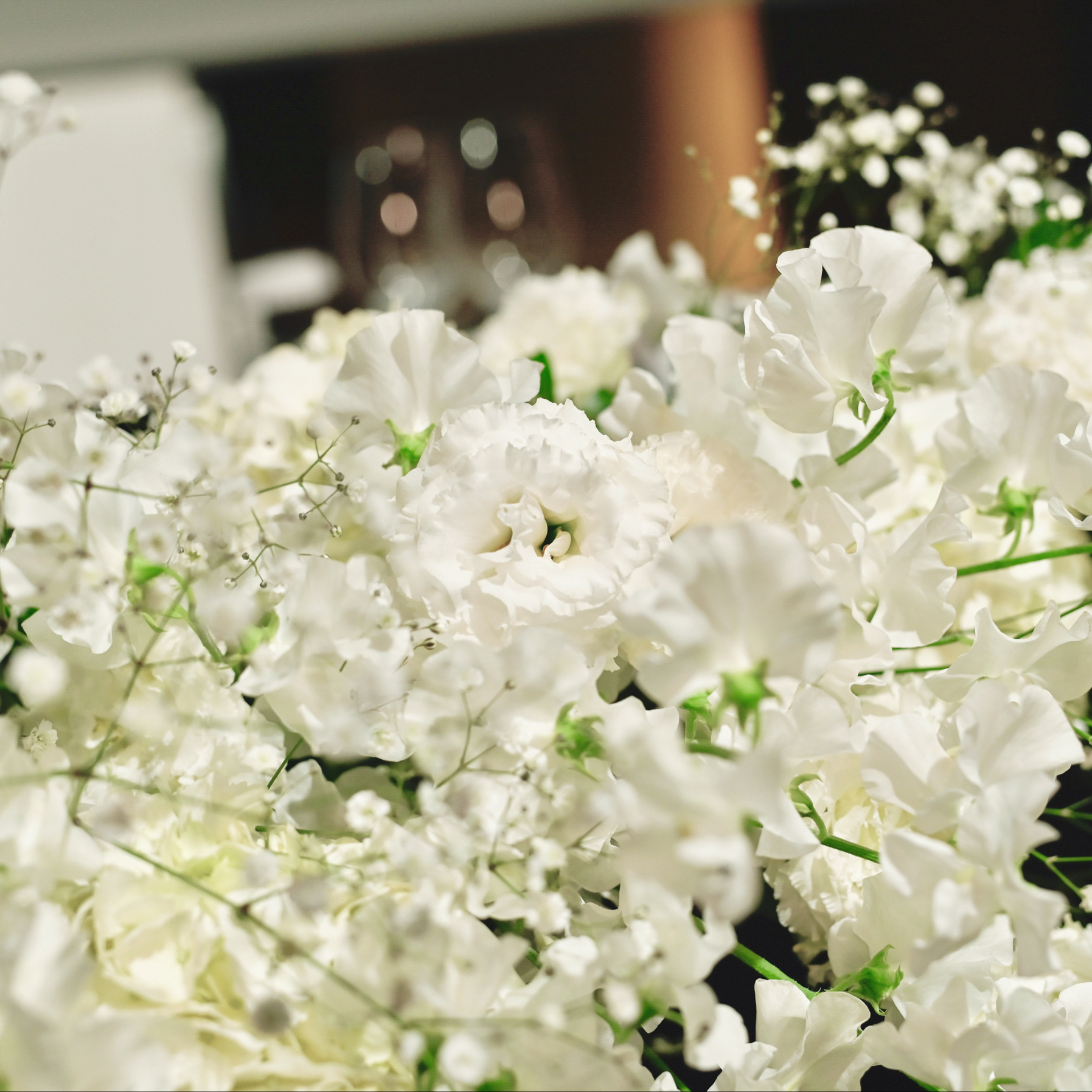 lily_x_wdさんのカバー画像