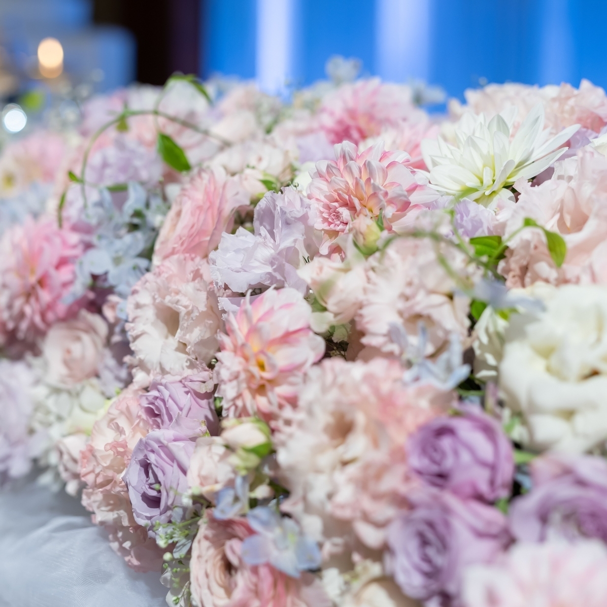 t.y2480さんのカバー画像