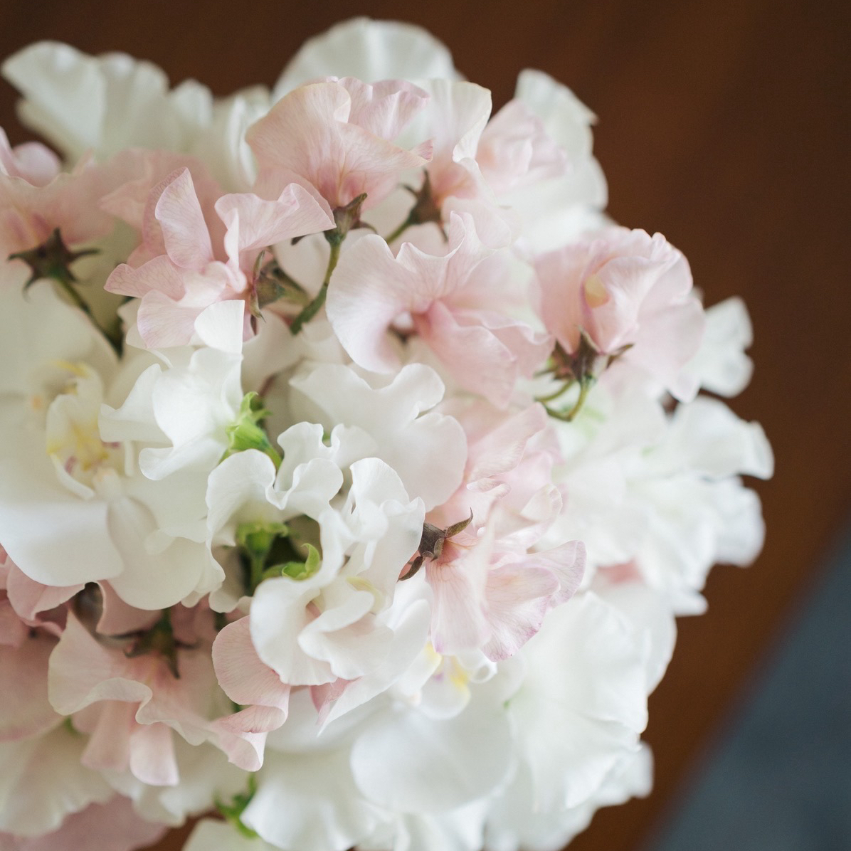 na___09kさんのカバー画像