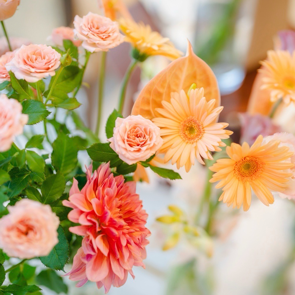 ri_mi_wdさんのカバー画像