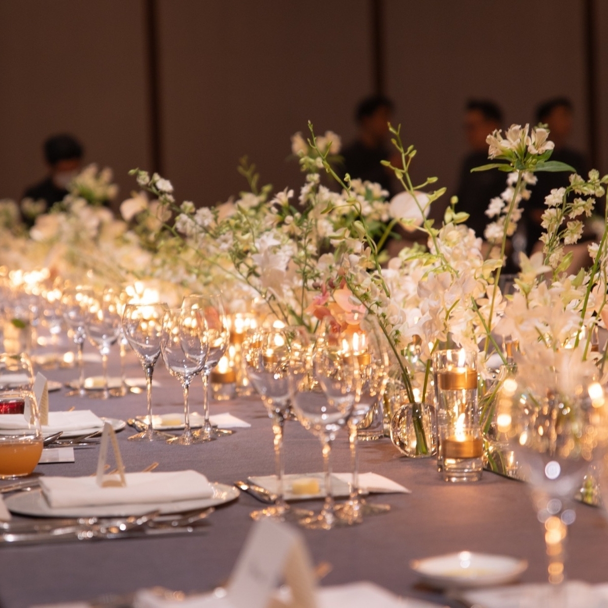 _nocha33さんのカバー画像