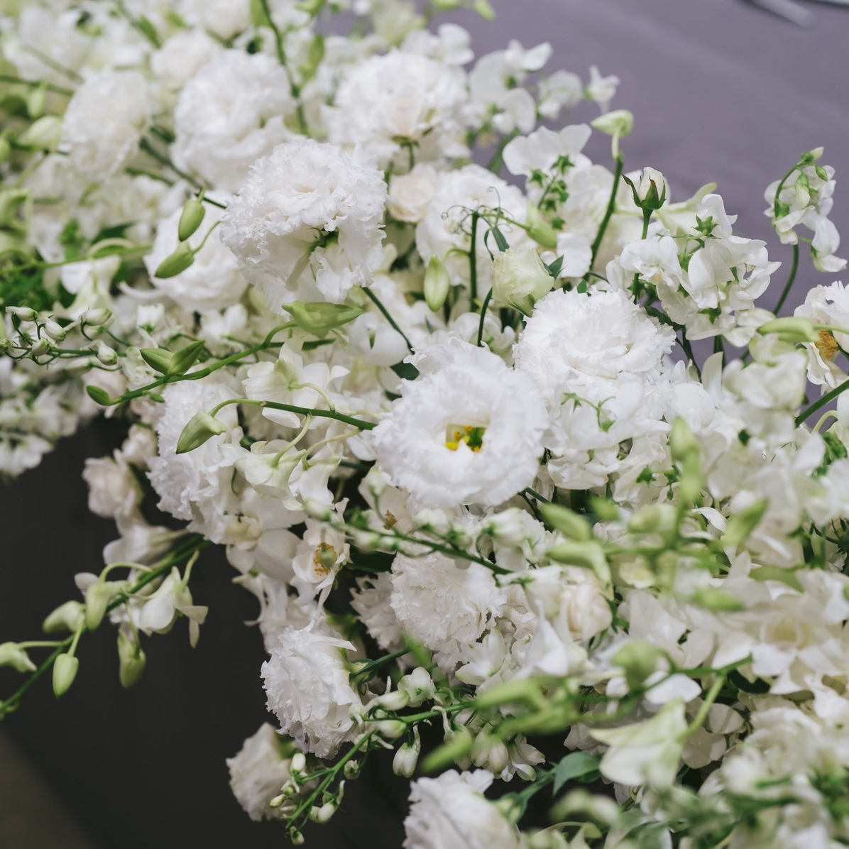 minmi_3072さんのカバー画像