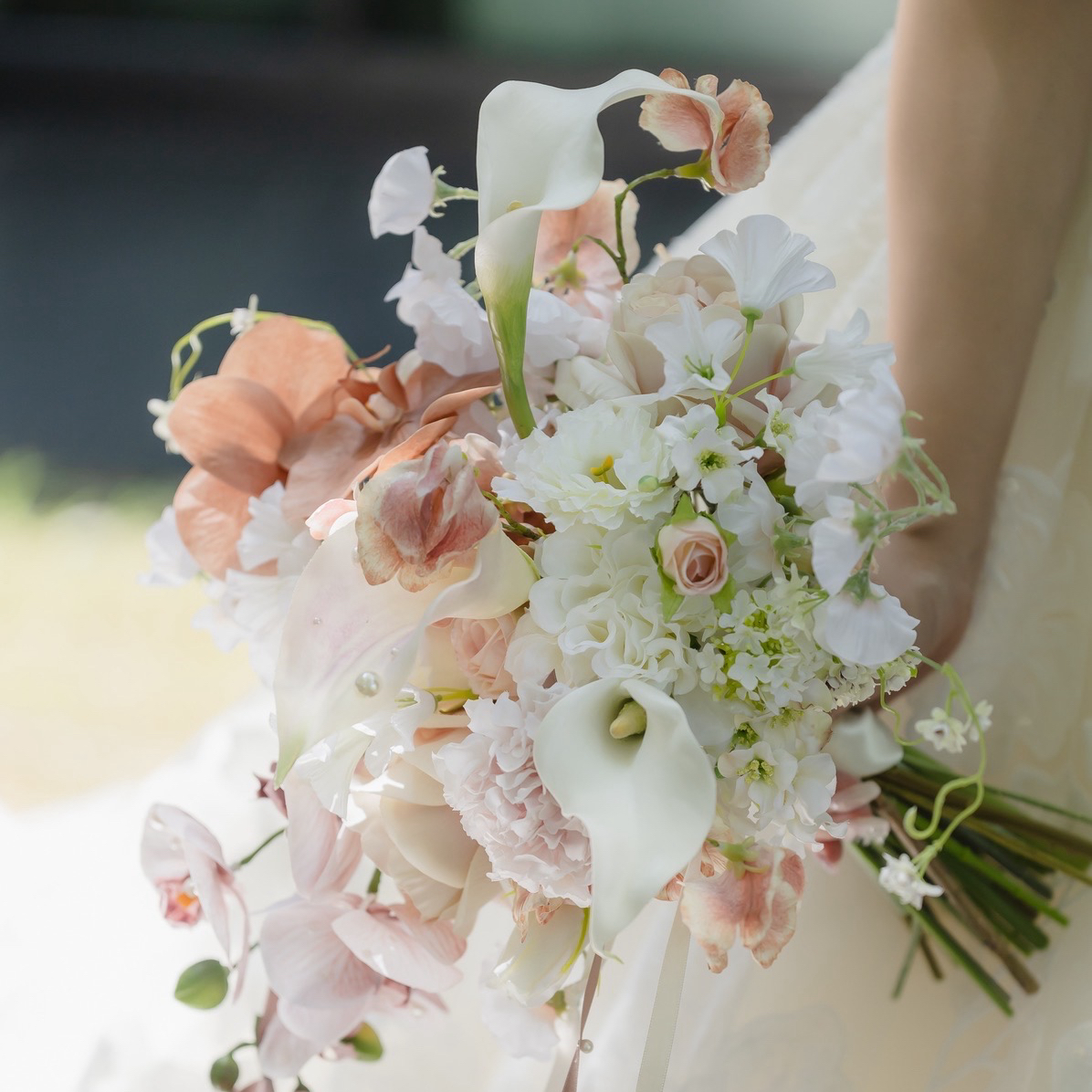 nk_09mv.wdさんのカバー画像