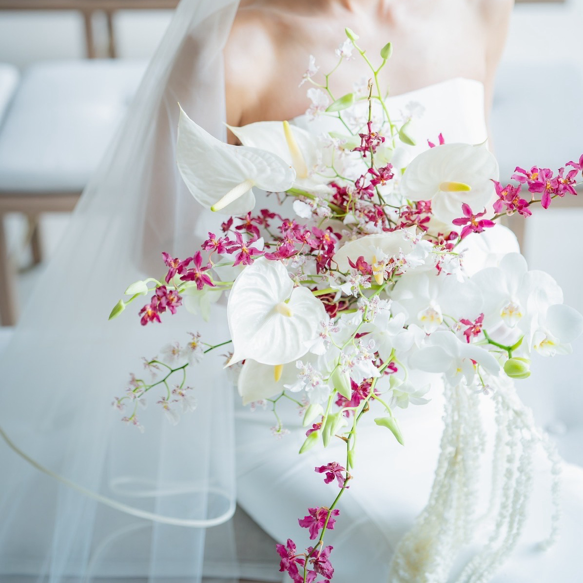 _ak_wdさんのカバー画像