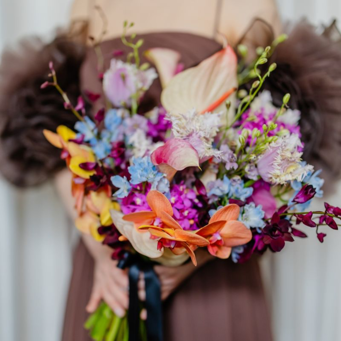 nc_s15さんのカバー画像