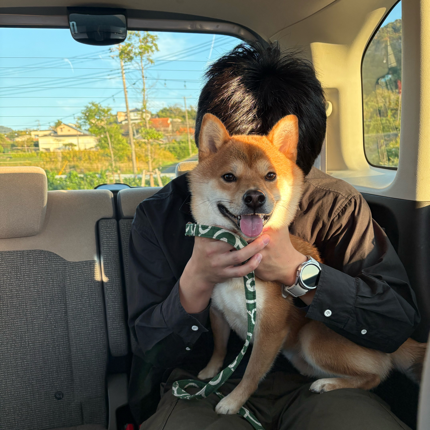 こんにゃくさんのカバー画像