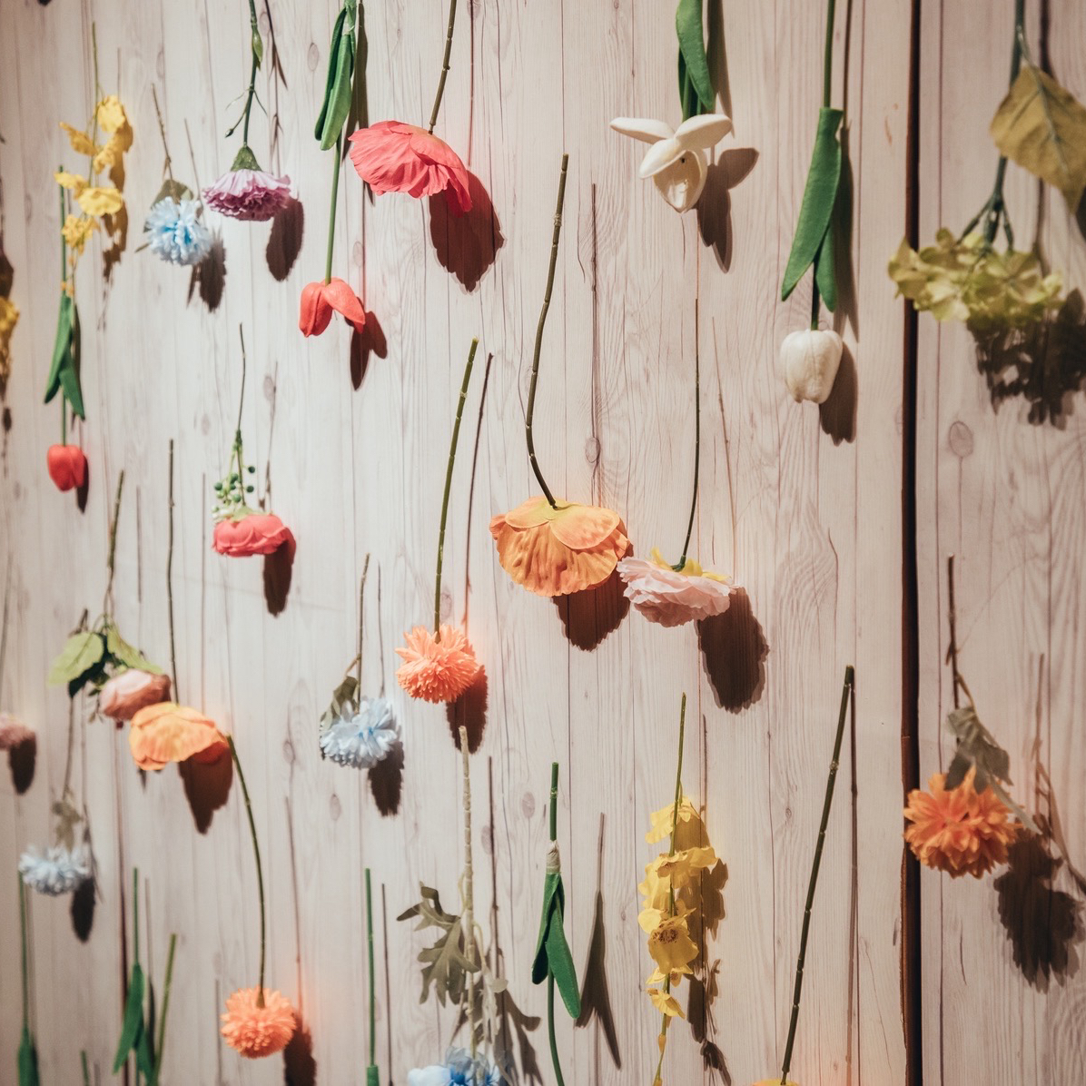 pppon__16さんのカバー画像