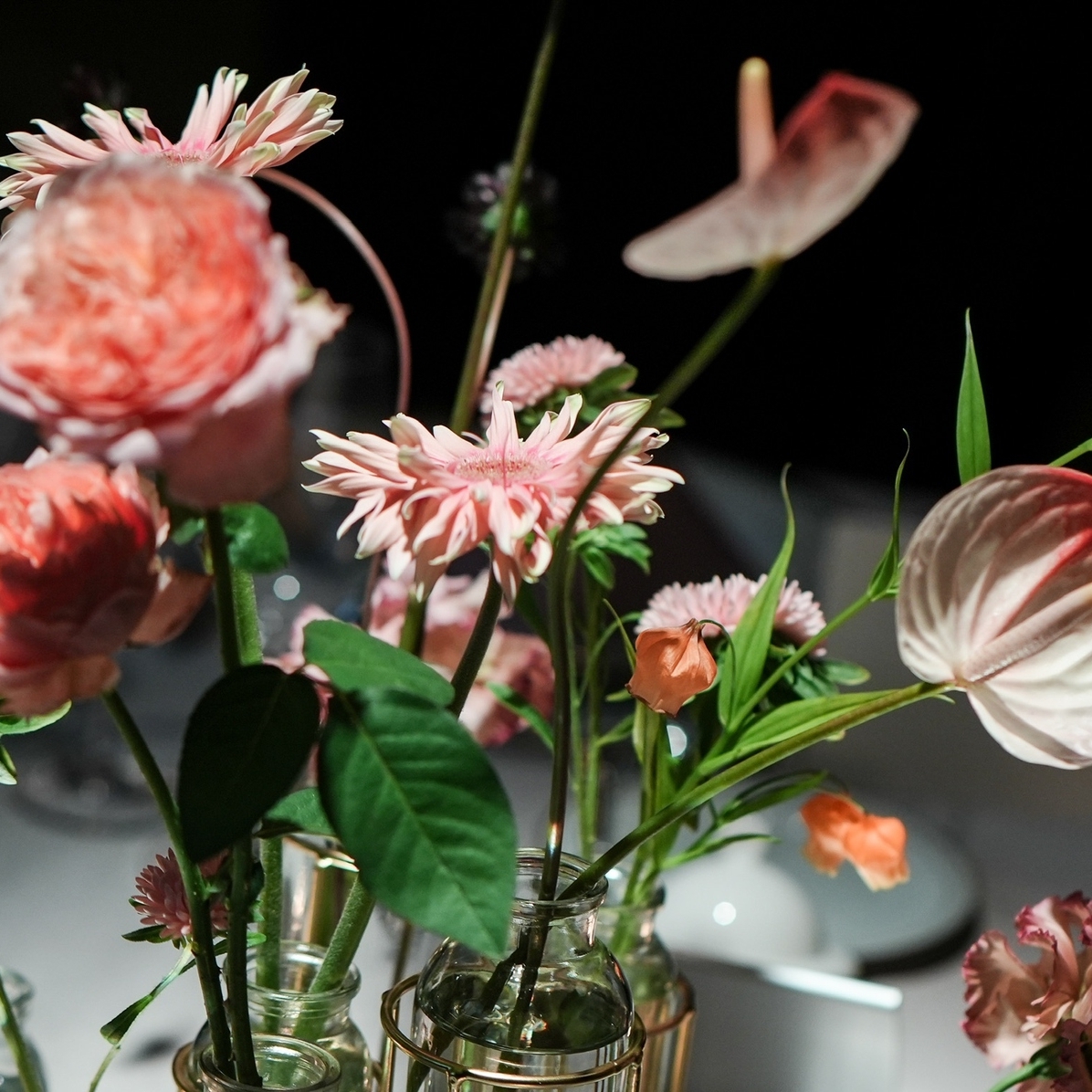 snheongeo1123さんのカバー画像