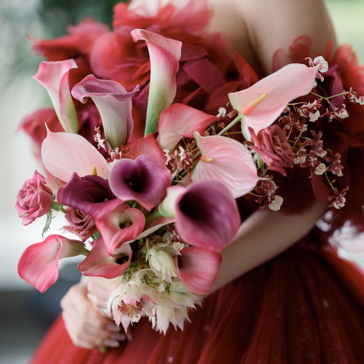 wd_h.palaceさんのカバー画像