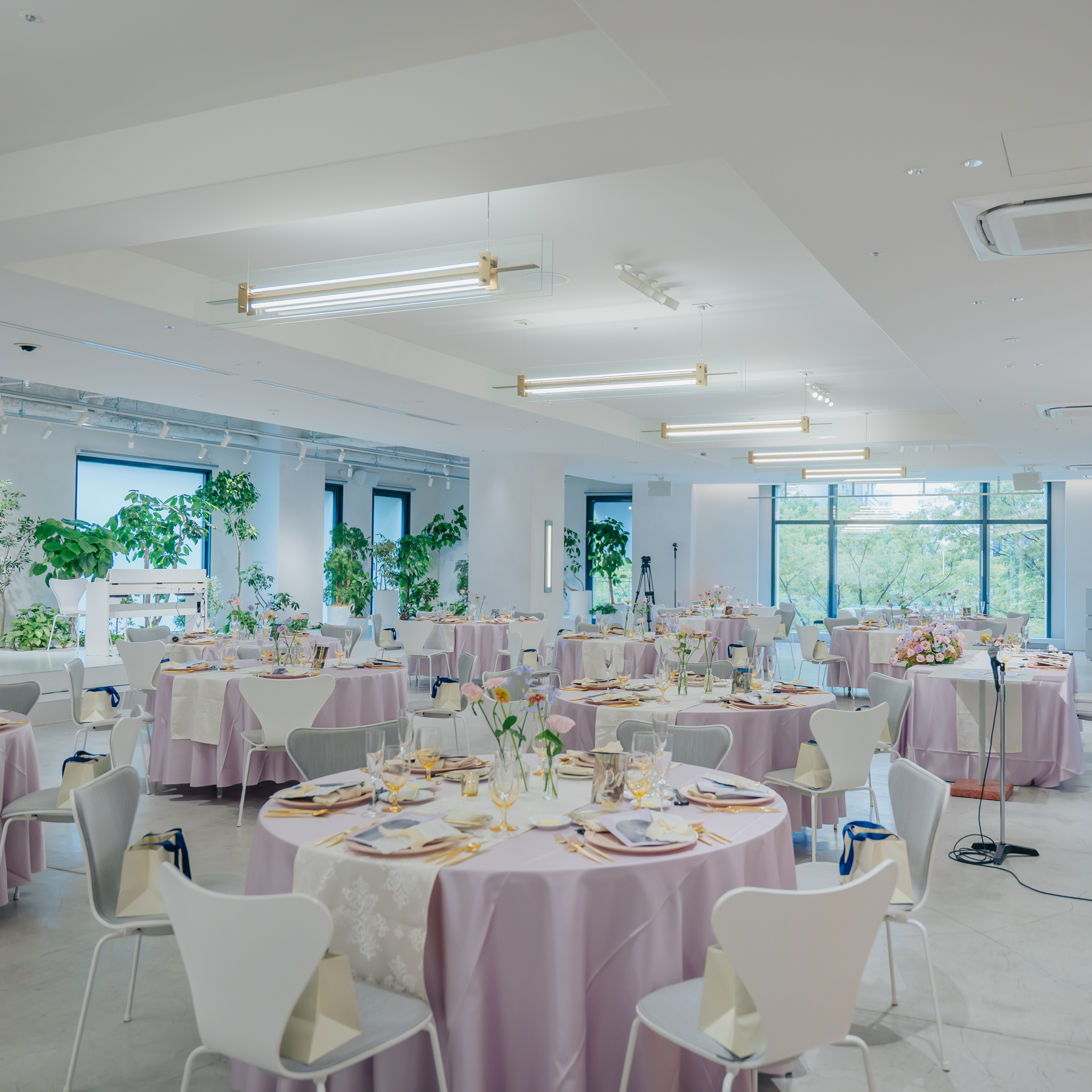 Sayakaさんのカバー画像