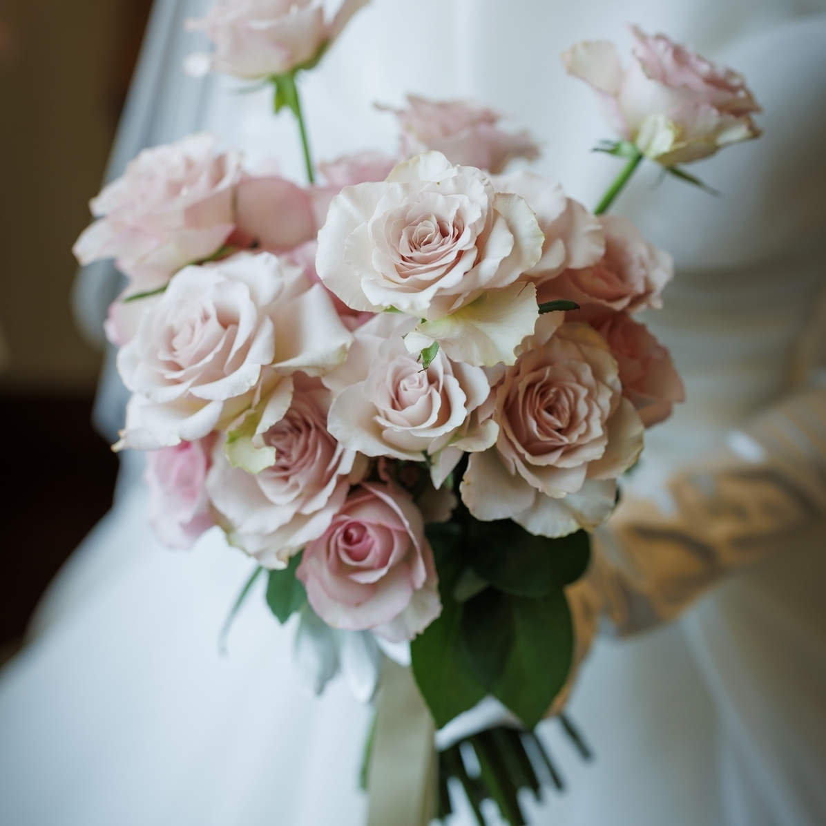 ica21icaさんのカバー画像