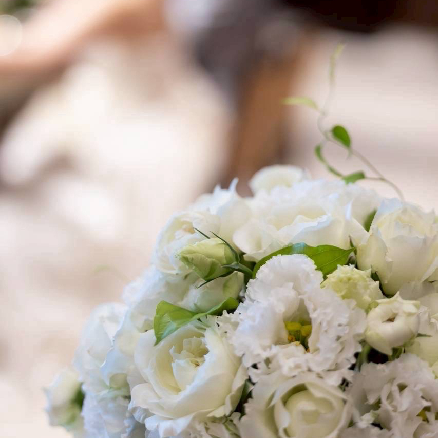 0m1chaさんのカバー画像