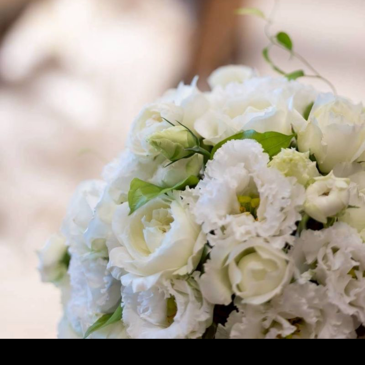 0m1chaさんのカバー画像