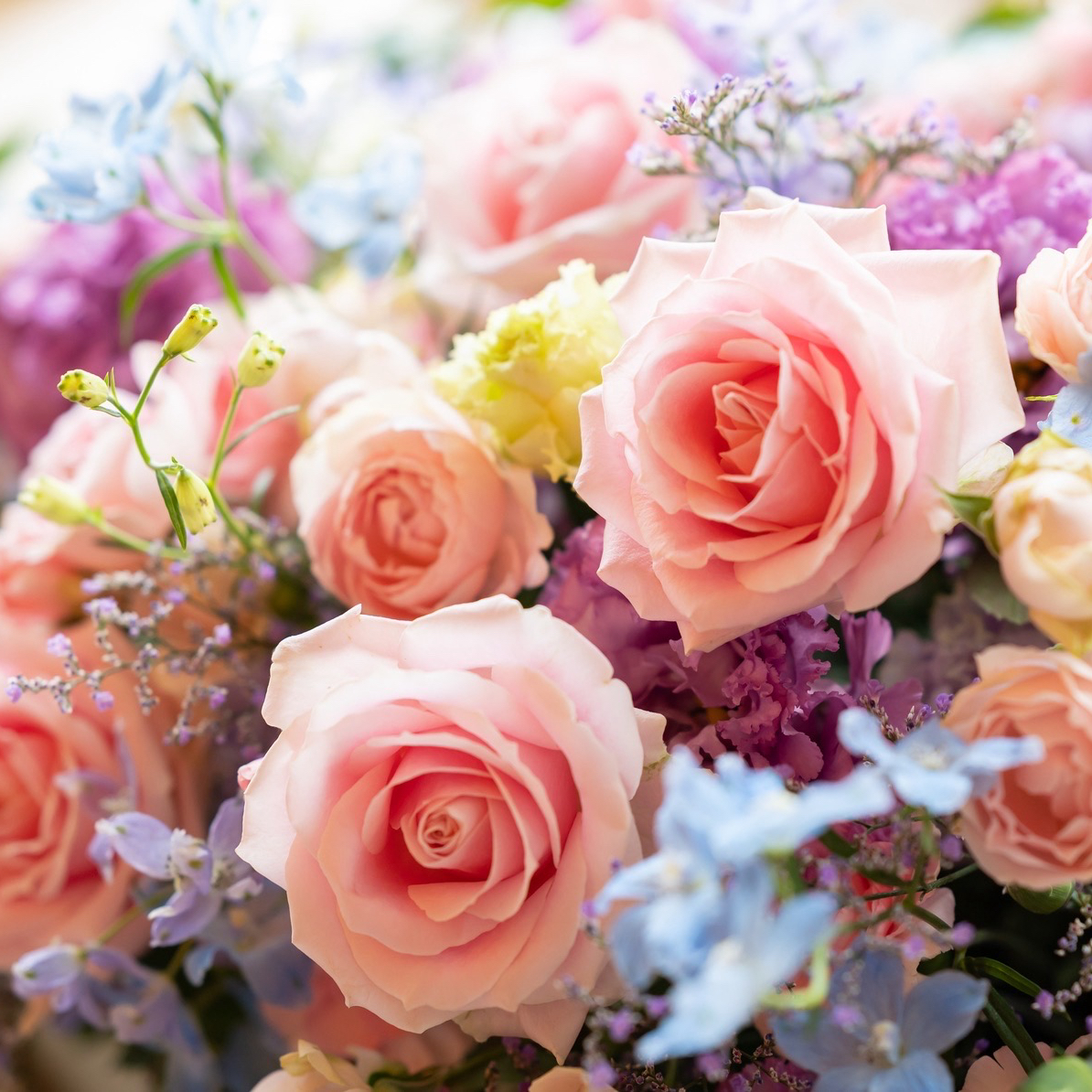 iamrunamoonさんのカバー画像