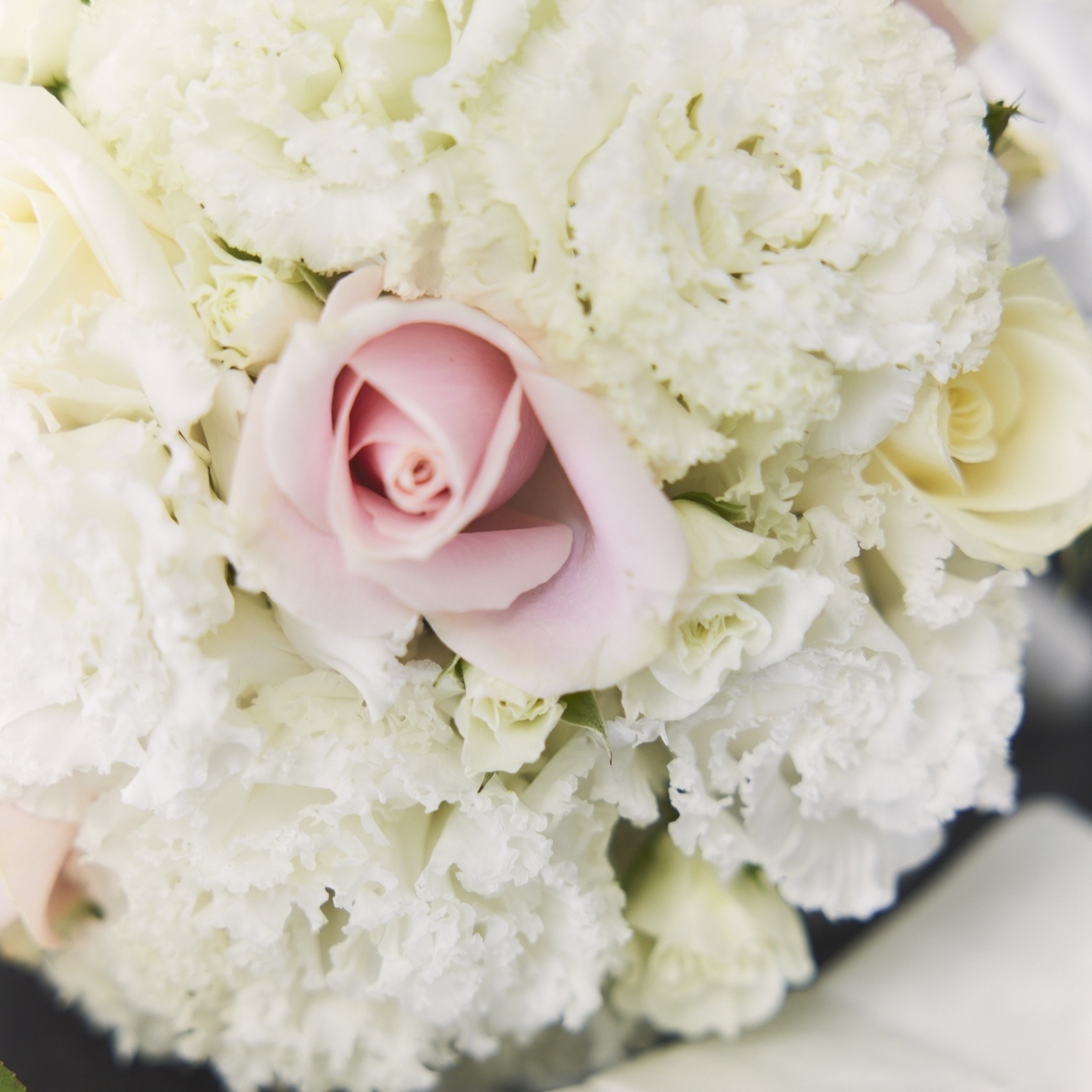 uriwd96さんのカバー画像