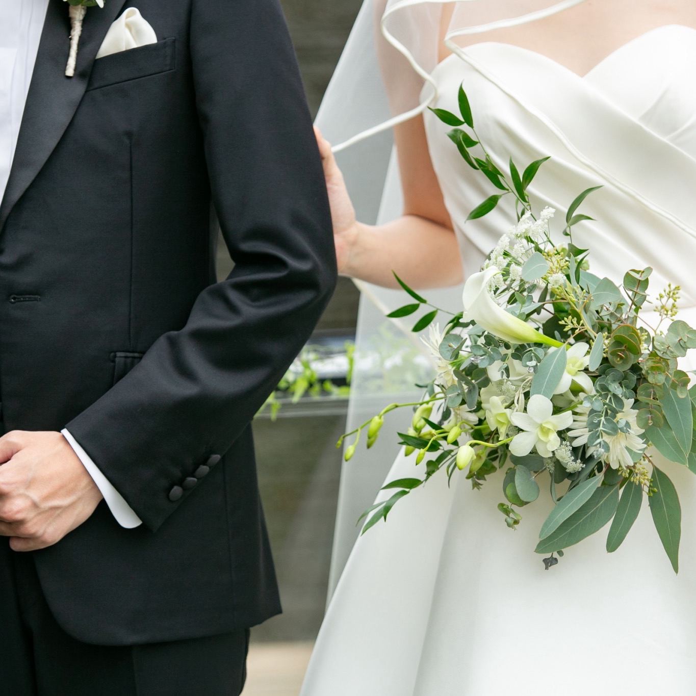 かりさんのカバー画像