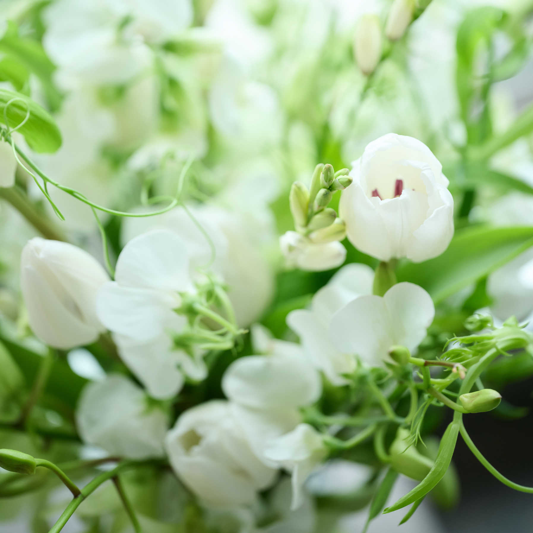 23p_wedさんのカバー画像