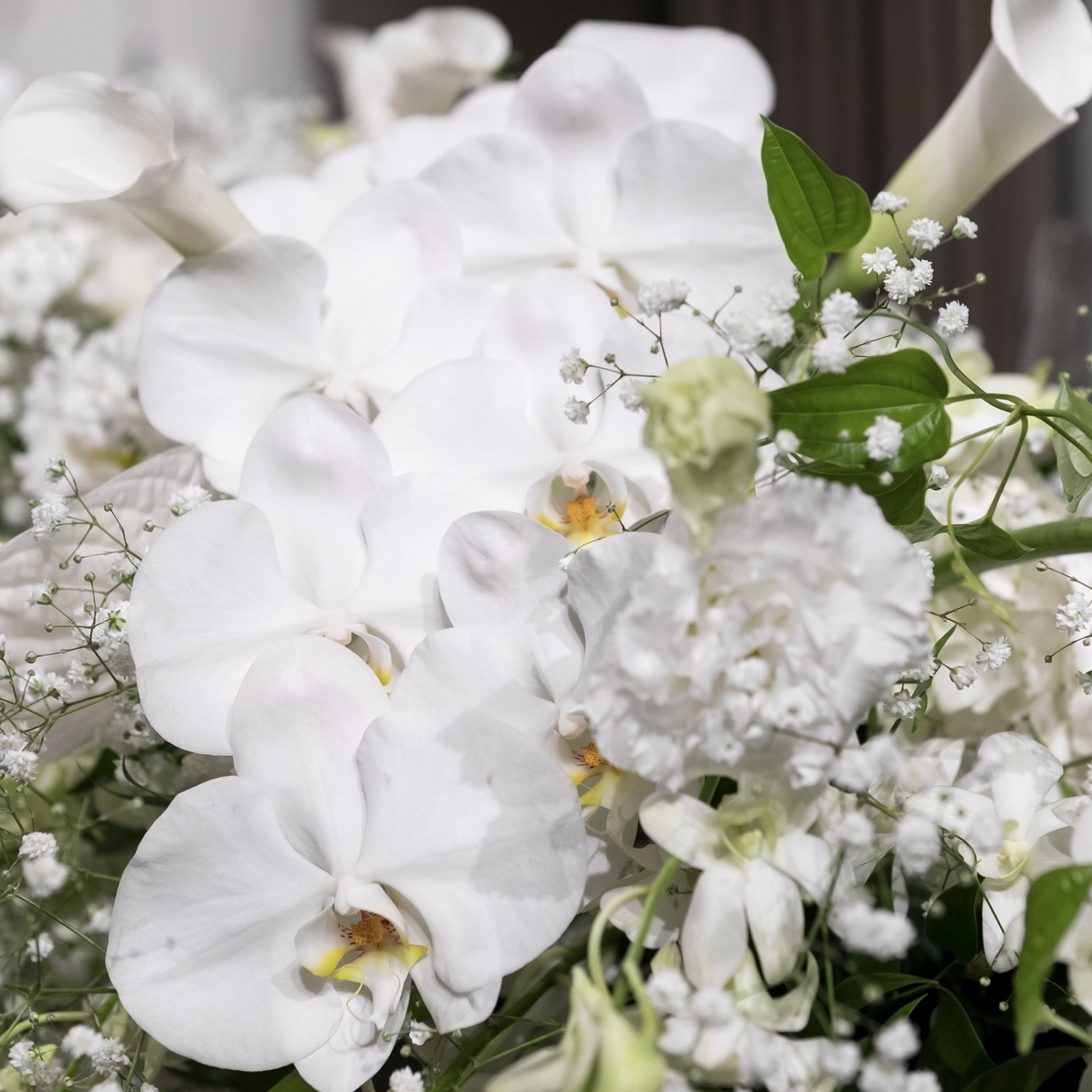 ami_wd.summerさんのカバー画像