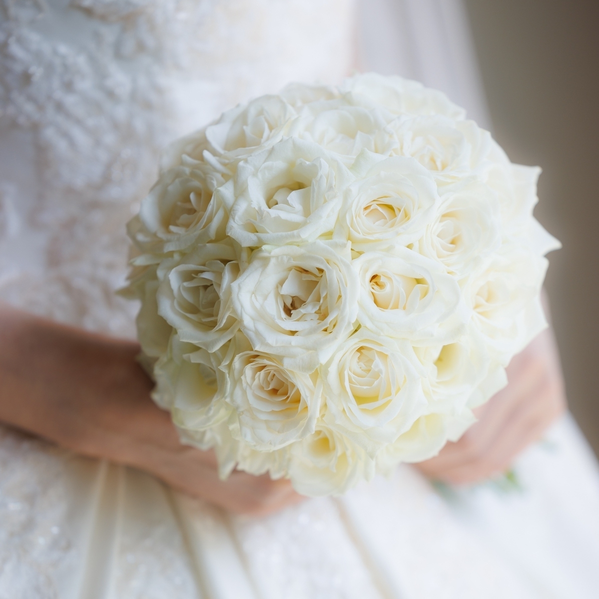 m_wd_0702さんのカバー画像