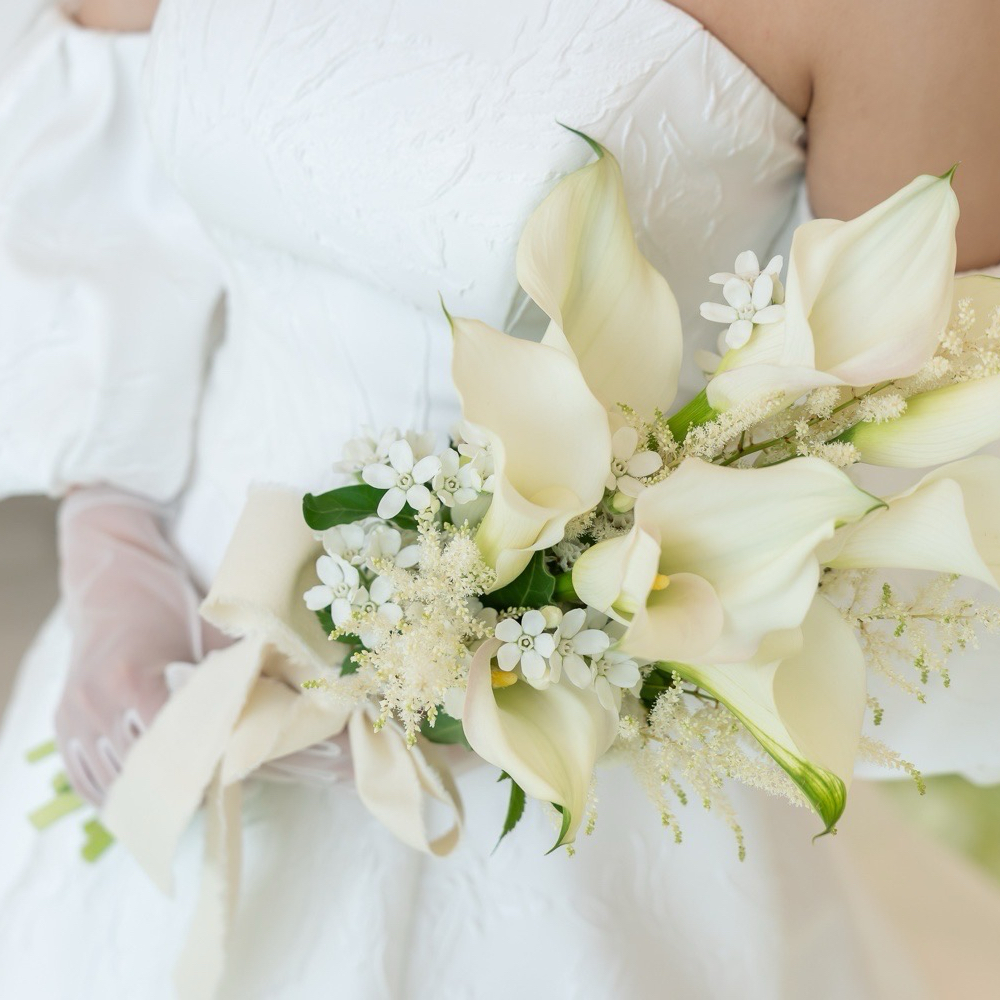 nannanさんのカバー画像