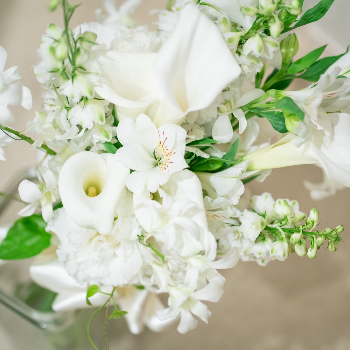 99_1189さんのカバー画像