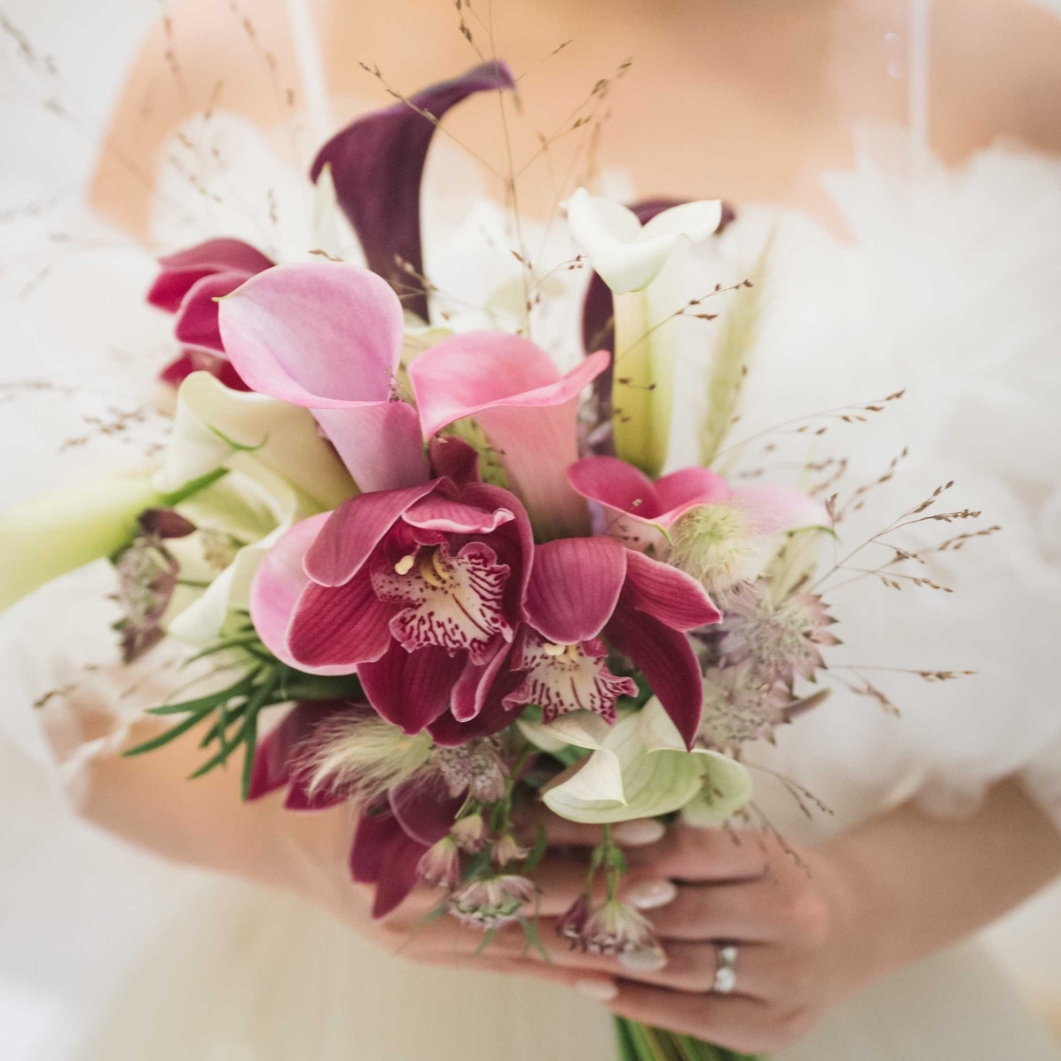 wd2025_aurinkoさんのカバー画像