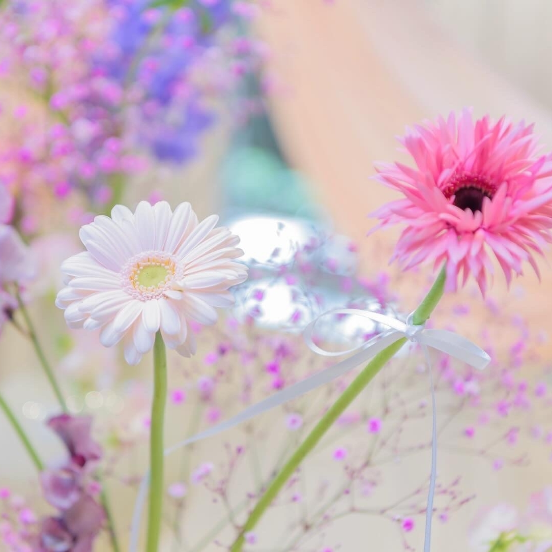 ponc__wdさんのカバー画像