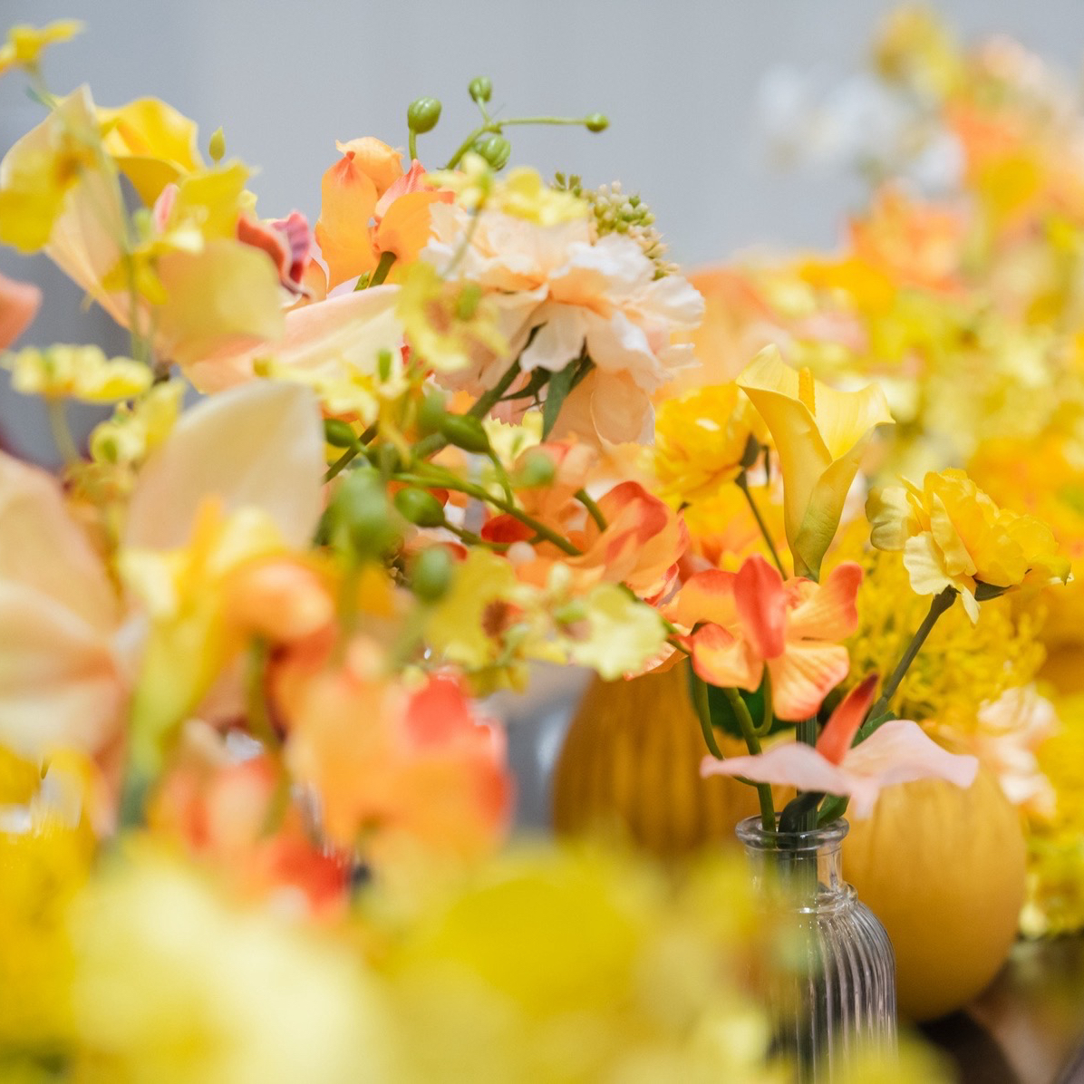 0914bonさんのカバー画像