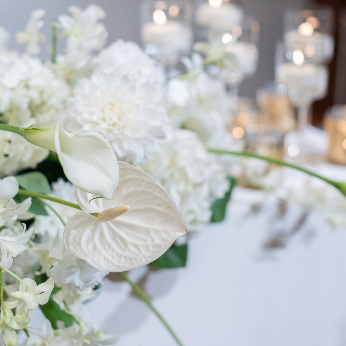 flower_w.dさんのカバー画像