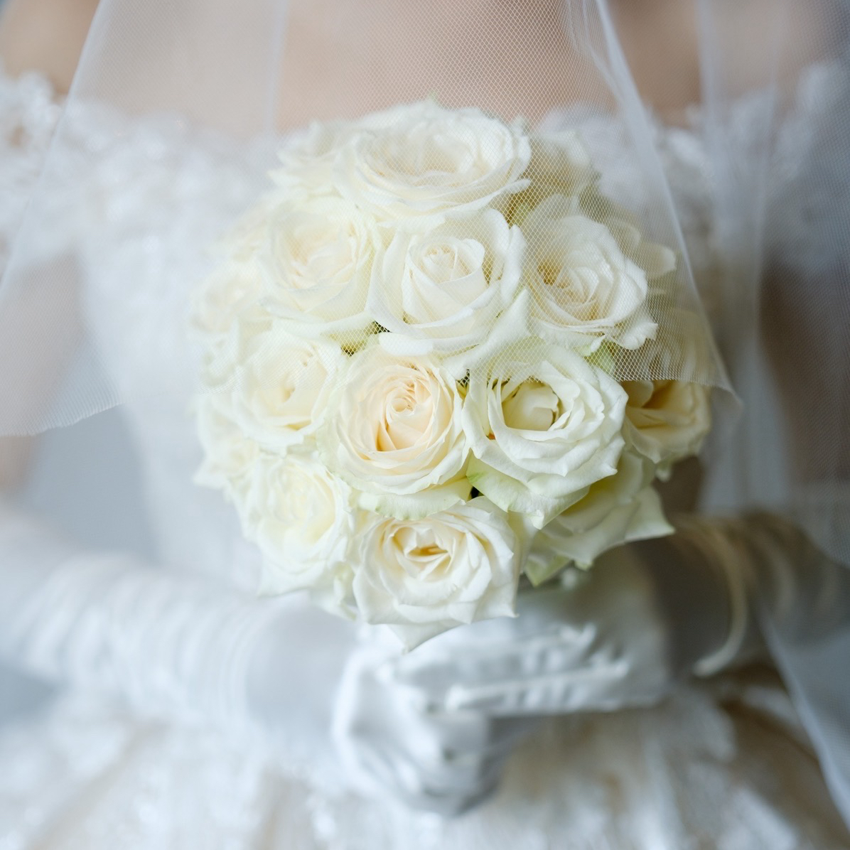 wd_y1398さんのカバー画像