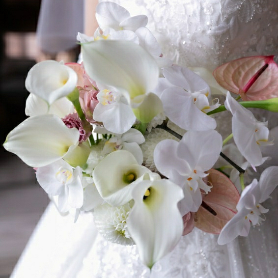 mm_wd914さんのカバー画像