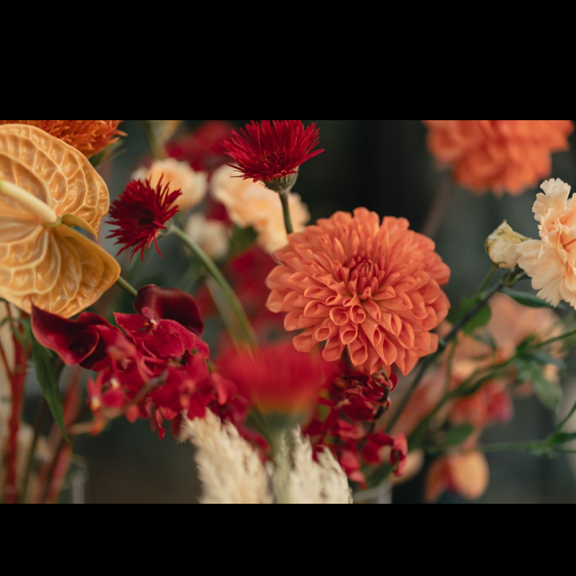 minami5さんのカバー画像