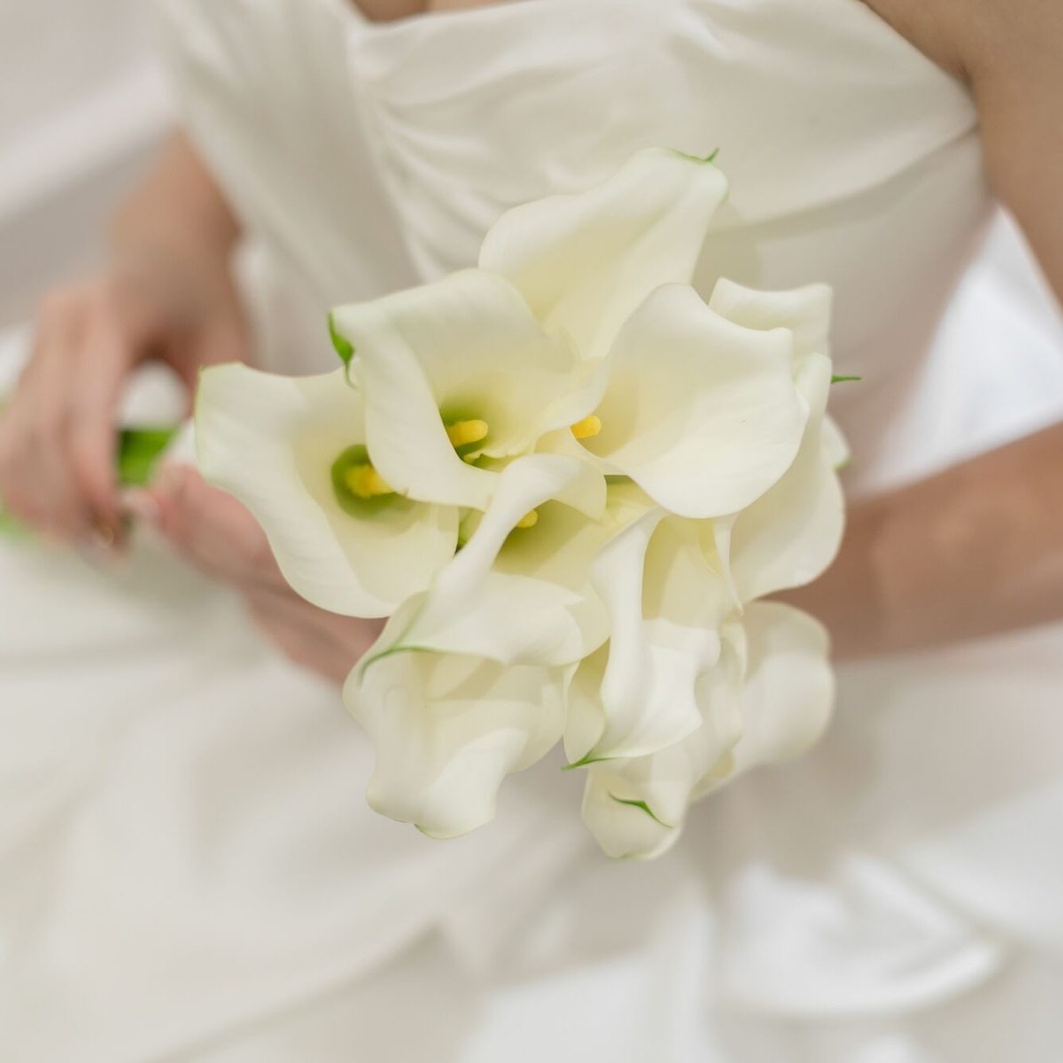 aiwd__1102さんのカバー画像