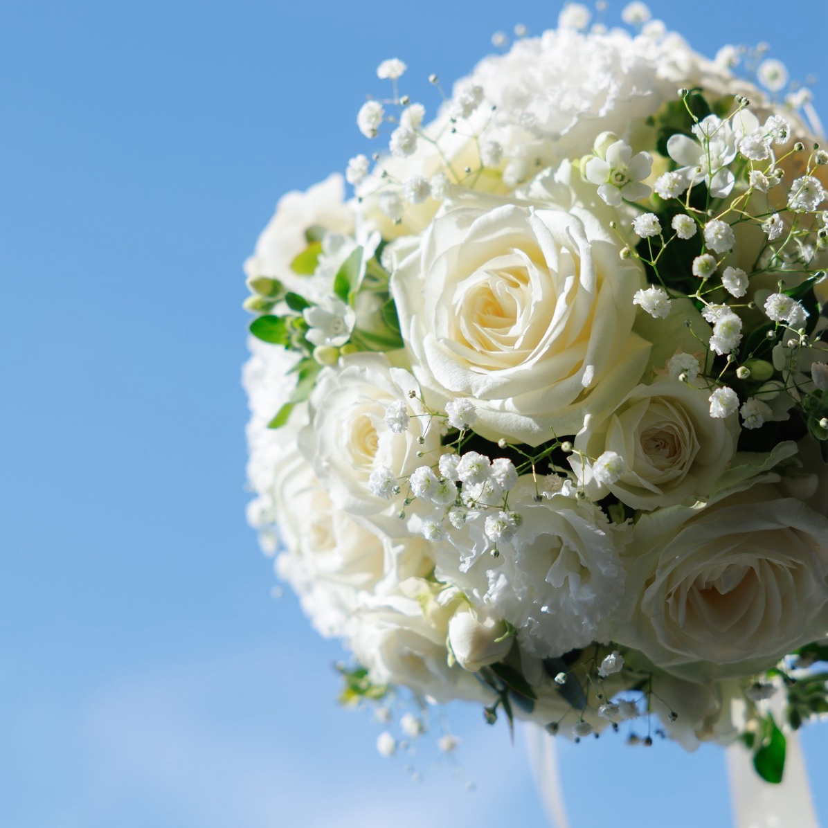 kocchiさんのカバー画像