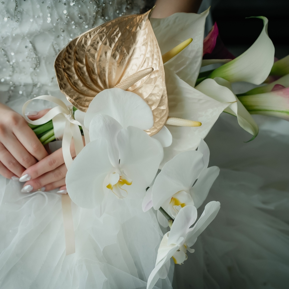 kana_wd.0518さんのカバー画像