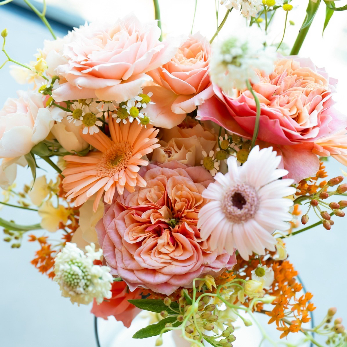 minami4さんのカバー画像