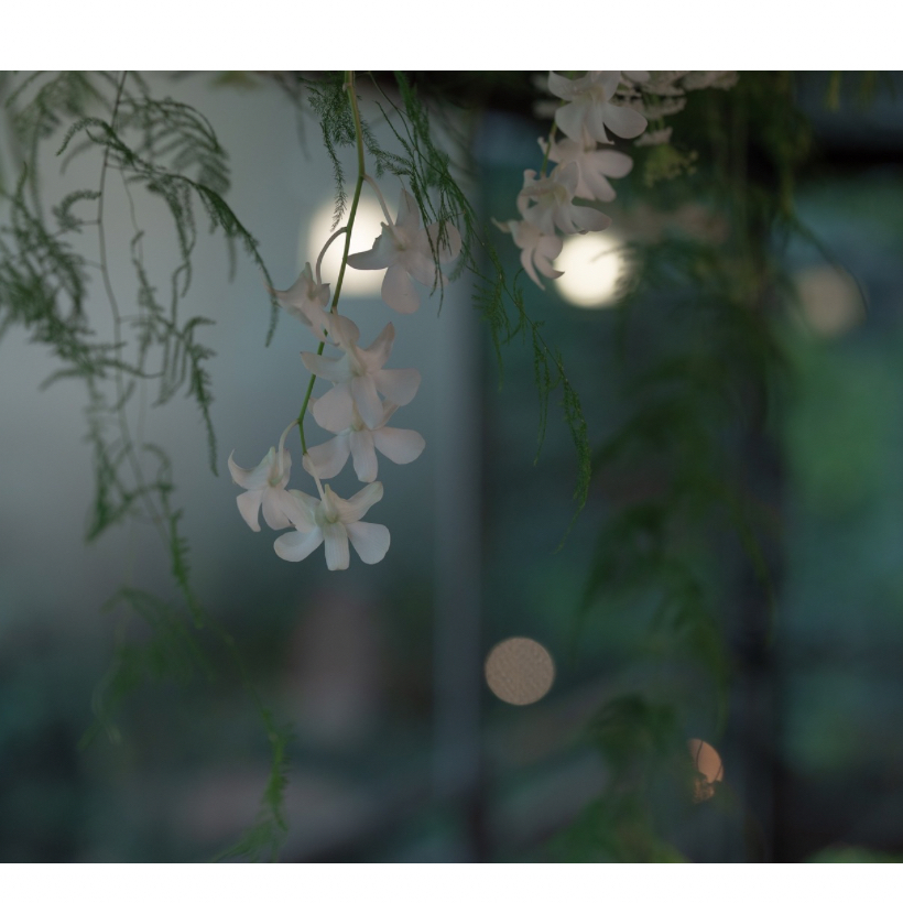 ゆりこさんのカバー画像