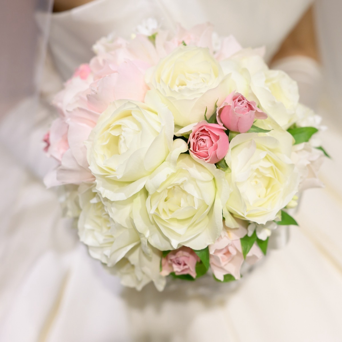 okm_wdさんのカバー画像