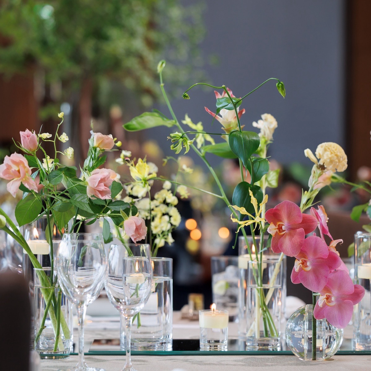 palace_mwdさんのカバー画像