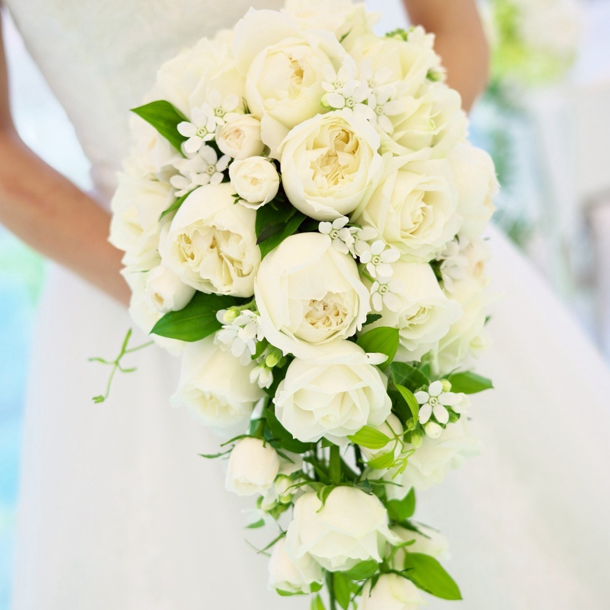 Mekochiさんのカバー画像