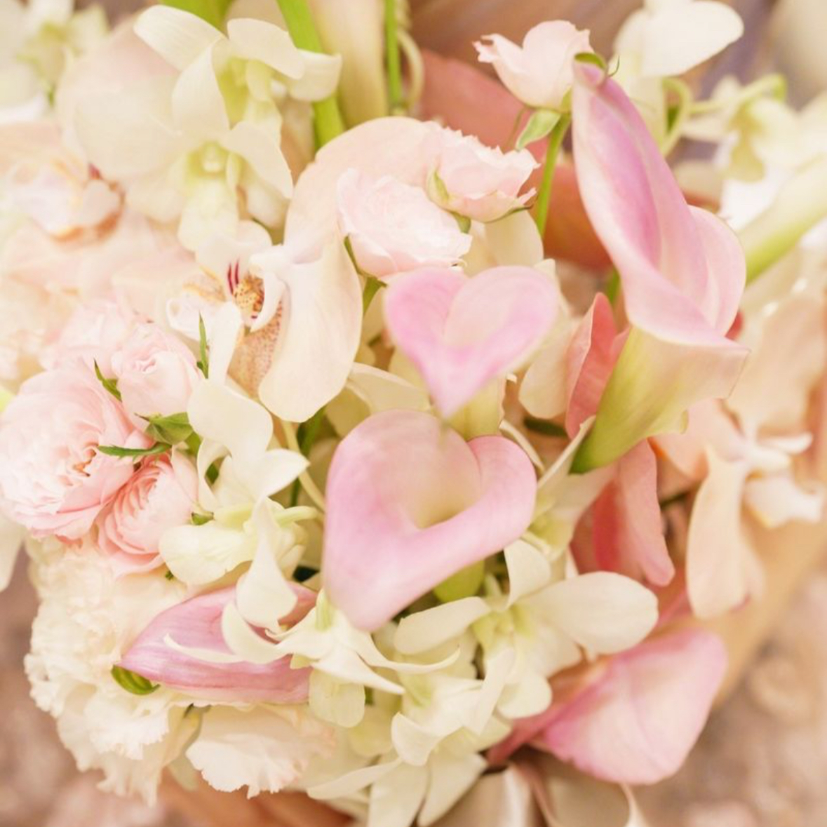 hin0114a_さんのカバー画像