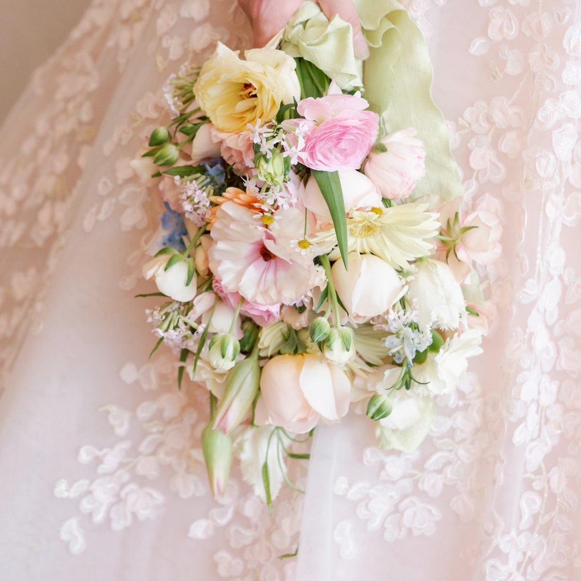 shi_hmch.wdさんのカバー画像