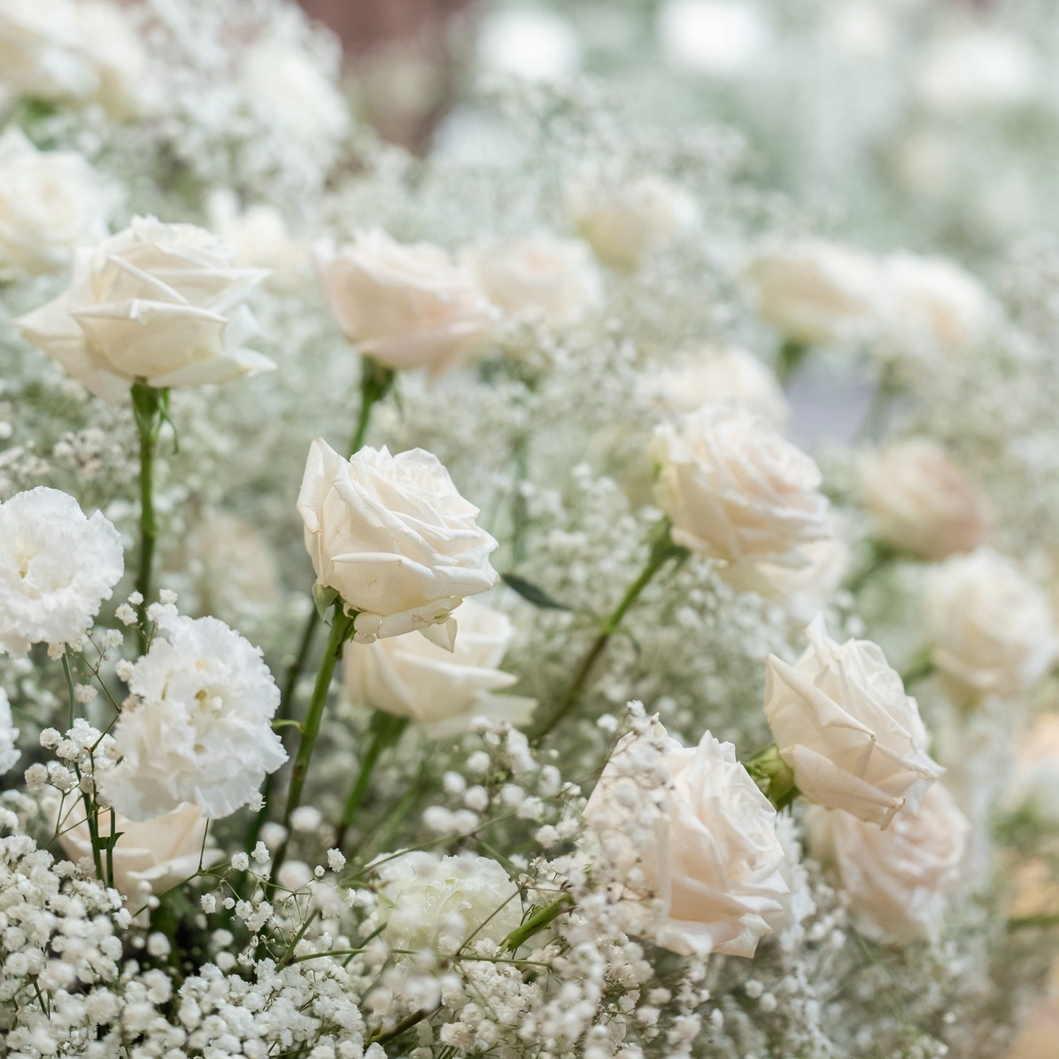 ____aimi1002さんのカバー画像